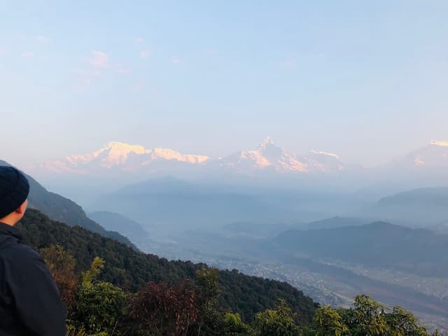 himarayan